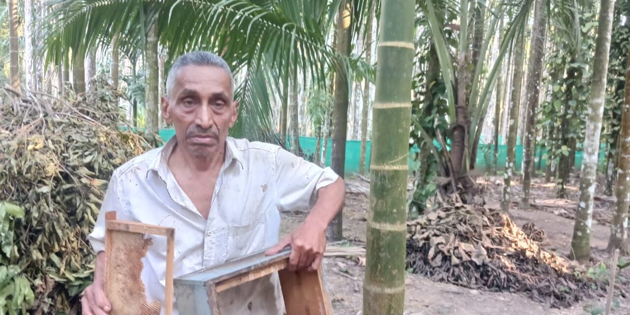 ಜೋಯಿಡಾದಲ್ಲಿ ಮತ್ತೆ ಕರಡಿ ಧಾಳಿ ಜೇನು ಪೆಟ್ಟಿಗೆ ನಾಶ