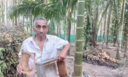 ಜೋಯಿಡಾದಲ್ಲಿ ಮತ್ತೆ ಕರಡಿ ಧಾಳಿ ಜೇನು ಪೆಟ್ಟಿಗೆ ನಾಶ