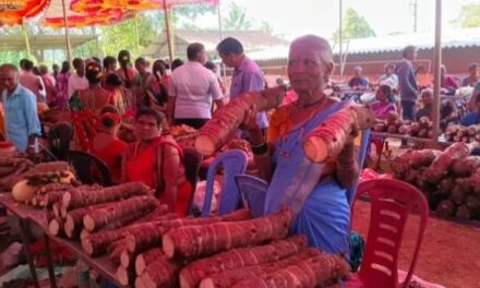 ಜೋಯಿಡಾದಲ್ಲಿ 12 ನೇ ಗೆಡ್ಡೆ ಗೆಣಸುಮೇಳ ಯಶಸ್ವಿ ಸಂಪನ್ನ