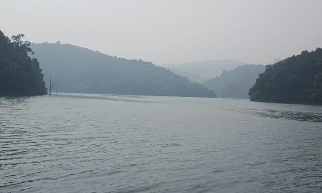 ಹೊಸ ವರ್ಷ ಆಚರಣೆಯ ಜೊತೆ,ಪರಿಸರದ ಬಗ್ಗೆಯೂ ಇರಲಿ ಕಾಳಜಿ
