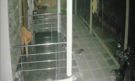 ಯಲ್ಲಾಪುರ ತಾಲೂಕಿನಲ್ಲಿ ಚಿರತೆ ಹಾವಳಿ, ಕಂಗಾಲಾದ ಜನತೆ