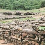 ಗಿಡಮರಗಳ ಬಗ್ಗೆ ನಿರ್ಲಕ್ಷವೇ…? ಗೋವಾದಲ್ಲಿ 4.85 ಗಿಡಗಳನ್ನು ನೆಡಲು ಬಾಕಿ