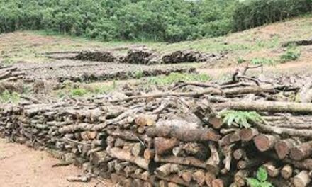 ಗಿಡಮರಗಳ ಬಗ್ಗೆ ನಿರ್ಲಕ್ಷವೇ…? ಗೋವಾದಲ್ಲಿ 4.85 ಗಿಡಗಳನ್ನು ನೆಡಲು ಬಾಕಿ