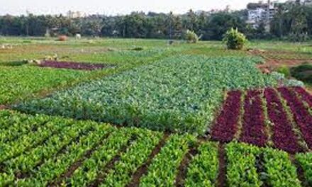 ಗೋವಾದಲ್ಲಿ ತರಕಾರಿ ಬೆಳೆ ಹೆಚ್ಚಳವಾದ್ರೂ ಕರ್ನಾಟಕದ ತರಕಾರಿಗೆ ಕಡಿಮೆಯಾಗದ ಬೇಡಿಕೆ