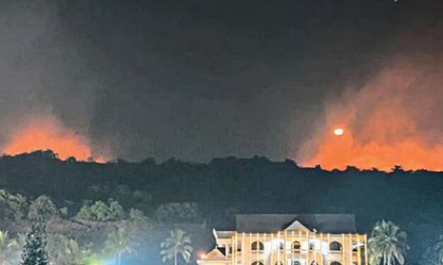 ಗೋವಾದಲ್ಲಿ ಕಾಡ್ಗಿಚ್ಚು ನಂದಿಸಲು ಸತತ ಕಾರ್ಯಾಚರಣೆ…!