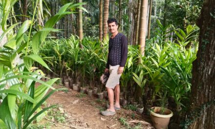 ಜೋಯಿಡಾದ ನಿಸರ್ಗದ ಮಡಿಲಲ್ಲಿ ಒಂದು ಅಡಿಕೆ ನರ್ಸರಿ