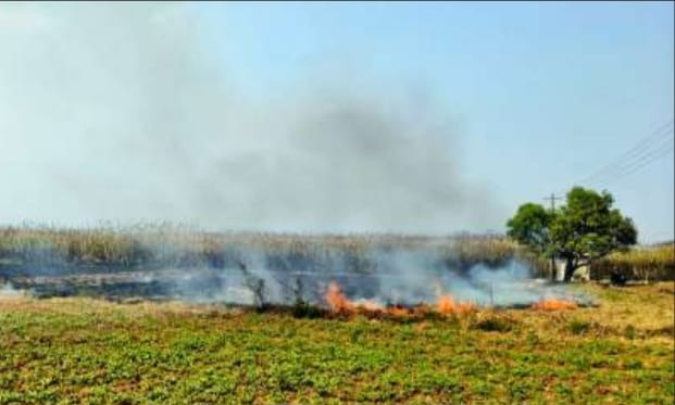 ಹೆಸ್ಕಾಂ ನಿರ್ಲಕ್ಷ್ಯದಿಂದ ಕಬ್ಬಿನ ಬೆಳೆಗೆ ಬೆಂಕಿ;15 ಎಕರೆ ಕಬ್ಬಿನ ಬೆಳೆ ಬೆಂಕಿಗಾಹುತಿ