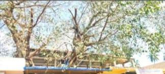 ಯಲ್ಲಾಪುರ ಪಟ್ಟಣದಲ್ಲಿಯ ಆತಂಕಕಾರಿ ಮರದ ರೆಂಬೆಗಳ ತೆರವು