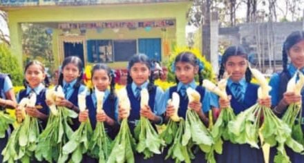 ಕುರ್ಲಿ ಶಾಲಾ ಬಿಸಿಯೂಟಕ್ಕೆ ವಿದ್ಯಾರ್ಥಿಗಳು ಬೆಳೆಸುವ ಸಾವಯವ ತರಕಾರಿ ಬಳಕೆ