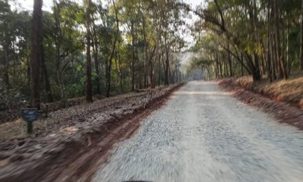 ಮುಗಿದ ಉಳವಿ ಜಾತ್ರೆ;ರಸ್ತೆ ಕಾಮಗಾರಿಗೆ ಸಿಗಬೇಕಿದೆ ವೇಗ