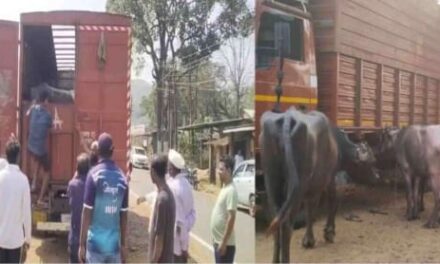 ವಾಹನಗಳಲ್ಲಿ ಅಕ್ರಮ ಎಮ್ಮೆಗಳ ಸಾಗಾಟ;ಪೋಲಿಸ್ ಕಾರ್ಯಾಚರಣೆಯ ಮೂಲಕ ರಕ್ಷಣೆ