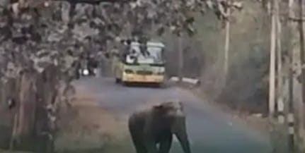 ಯಲ್ಲಾಪುರ-ಹಳಿಯಾಳ ರಸ್ತೆ ಮಾರ್ಗದ ಭಾಗವತಿ ಸಮೀಪ ಬಸ್ ಅಡ್ಡಗಟ್ಟಿದ ಒಂಟಿಸಲಗ