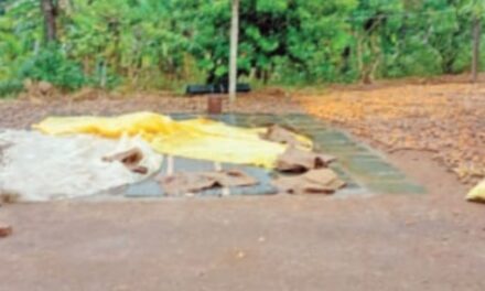 ಜೋಯಿಡಾ ತಾಲೂಕಿನ ಅಲ್ಲಲ್ಲಿ ಅಕಾಲಿಕ ಮಳೆ;ರೈತರು ಕಂಗಾಲು