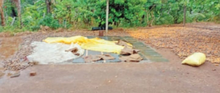 ಜೋಯಿಡಾ ತಾಲೂಕಿನ ಅಲ್ಲಲ್ಲಿ ಅಕಾಲಿಕ ಮಳೆ;ರೈತರು ಕಂಗಾಲು