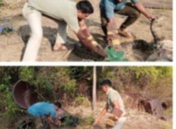 ಮನೆಯೊಂದರ ಆವರಣದಲ್ಲಿ 6 ಹೆಬ್ಬಾವುಗಳ ಪತ್ತೆ