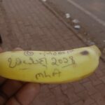 ರಥಕ್ಕೆ ಎಸೆದ “ಭೀಮಣ್ಣ ನಾಯ್ಕ ಮತ್ತೆ ಎಂಎಲ್‌ಎ ಆಗಲಿ” ಬರೆದ ಬಾಳೆಹಣ್ಣು