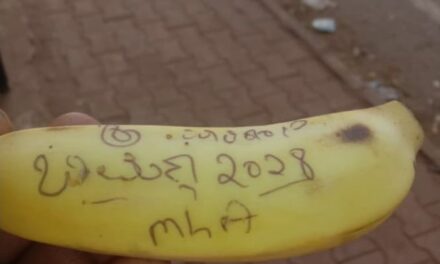 ರಥಕ್ಕೆ ಎಸೆದ “ಭೀಮಣ್ಣ ನಾಯ್ಕ ಮತ್ತೆ ಎಂಎಲ್‌ಎ ಆಗಲಿ” ಬರೆದ ಬಾಳೆಹಣ್ಣು