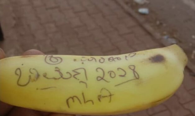 ರಥಕ್ಕೆ ಎಸೆದ “ಭೀಮಣ್ಣ ನಾಯ್ಕ ಮತ್ತೆ ಎಂಎಲ್‌ಎ ಆಗಲಿ” ಬರೆದ ಬಾಳೆಹಣ್ಣು