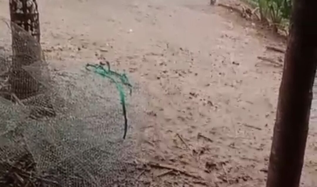 ಜೋಯಿಡಾ ದಲ್ಲಿ ಭಾರಿ ಗಾಳಿ ಮಳೆ