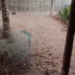 ಜೋಯಿಡಾ ದಲ್ಲಿ ಭಾರಿ ಗಾಳಿ ಮಳೆ