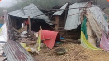 ಆಲೂರಿನಲ್ಲಿ ಕಾಡಾನೆ ದಾಳಿಗೆ ದನದ ಕೊಟ್ಟಿಗೆ ಧ್ವಂಸ;ರೈತರಲ್ಲಿ ಆತಂಕದ ವಾತಾವರಣ