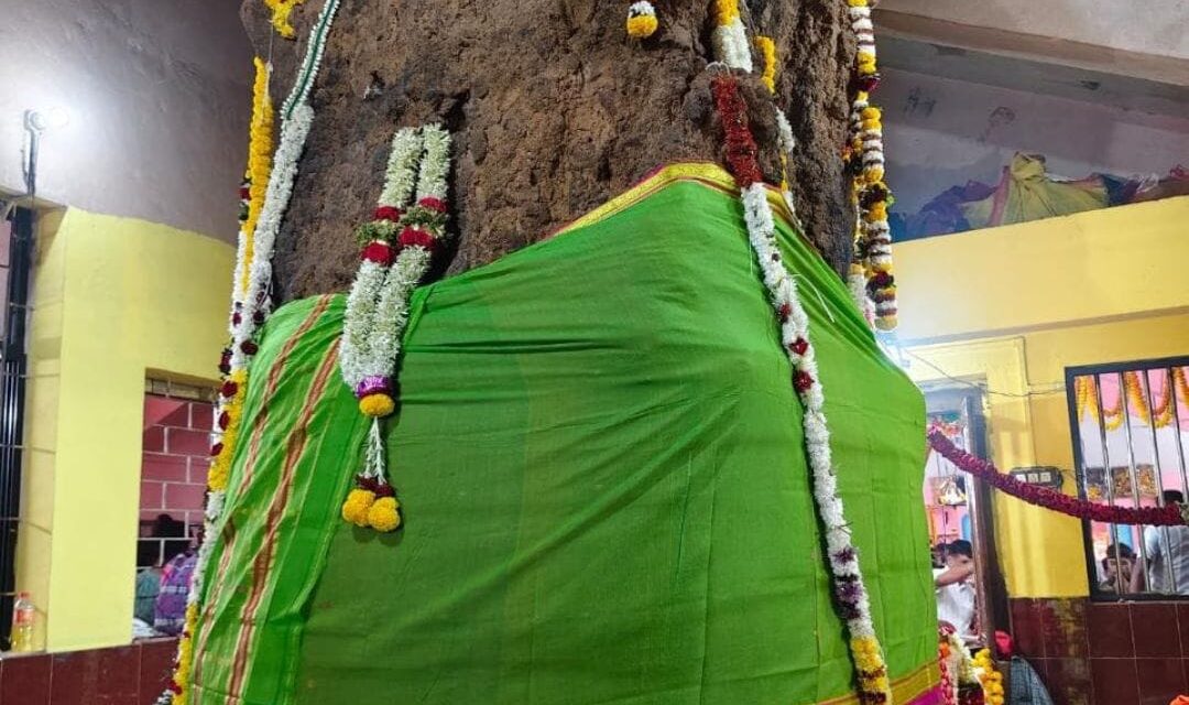 ಗೌಳಾದೇವಿಯ ಸನ್ನಿಧಿಯಲ್ಲಿ ಹರಿದು ಬಂದ ಭಕ್ತ ಸಾಗರ