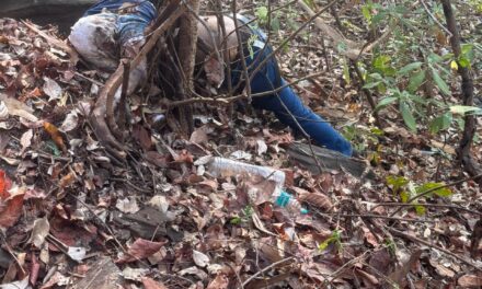 ಜೇನುಕಲ್ಲು ಗುಡ್ಡದಿಂದ ಜಿಗಿದು ಆತ್ಮಹತ್ಯೆ