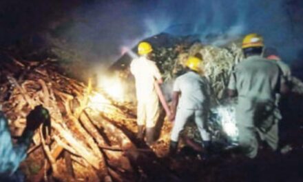 ಹುಲ್ಲಿನ ಬಣವೆಗೆ ಆಕಸ್ಮಿಕ ಬೆಂಕಿ;ಅಪಾರ ಹಾನಿ