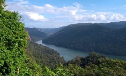 ಶರಾವತಿ ಪಂಪ್ಸ್ ಸ್ಟೋರೇಜ್ ಯೋಜನೆಗೆ ಹೈಕೋರ್ಟ್ ಮಧ್ಯಂತರ ತಡೆ