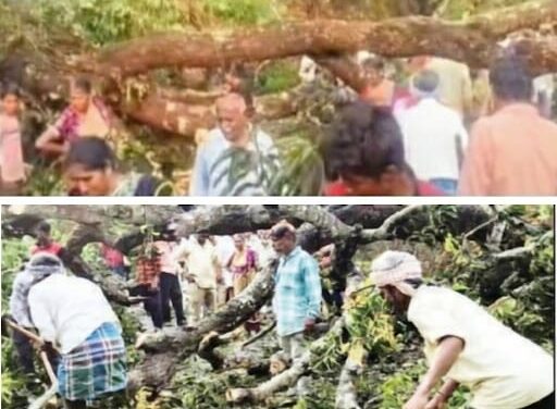 ಭಾರೀ ಗಾಳಿ-ಮಳೆಗೆ ರಸ್ತೆಯ ಮೇಲೆ ಉರುಳಿ ಬಿದ್ದ ಮರ;ಕೆಲ ಸಮಯ ಸಂಚಾರ ಅಸ್ತವ್ಯಸ್ತ