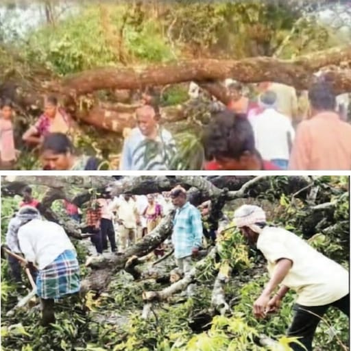 ಭಾರೀ ಗಾಳಿ-ಮಳೆಗೆ ರಸ್ತೆಯ ಮೇಲೆ ಉರುಳಿ ಬಿದ್ದ ಮರ;ಕೆಲ ಸಮಯ ಸಂಚಾರ ಅಸ್ತವ್ಯಸ್ತ