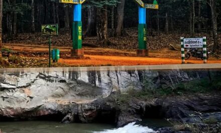 ನೋಡ ಬನ್ನಿ ಒಮ್ಮೆ ಜೋಯಿಡಾ ತಾಲೂಕಿನ ಸುಂದರ ಪ್ರವಾಸಿ ತಾಣ ಸಿಂಥೇರಿ ರಾಕ್ಸ್.