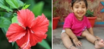 ದಾಸವಾಳದ ಹೂವನ್ನು ನುಂಗಿ ಏಳು ತಿಂಗಳ ಮಗು ಉಸಿರುಗಟ್ಟಿ ಸಾವು