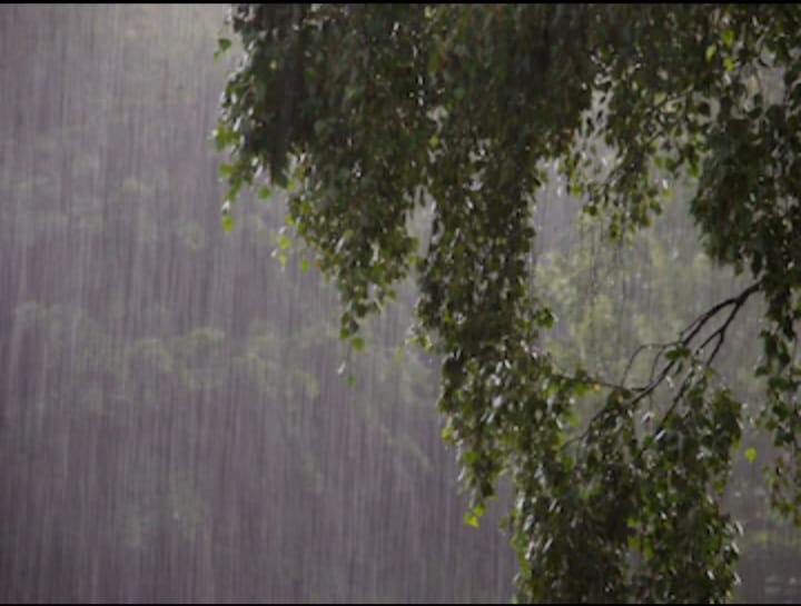 ಜೋಯಿಡಾ ಅಲ್ಲಲ್ಲಿ ಮಳೆ;ಅರಣ್ಯ ಇಲಾಖೆಯವರಿಗೆ ವರ