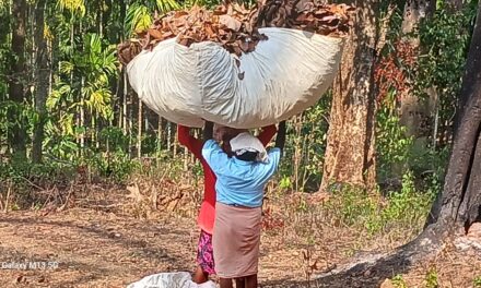 ರೈತರಿಗೆ ತೋಟಗಾರಿಕಾ ಇಲಾಖೆಯ ಮಾಹಿತಿ
