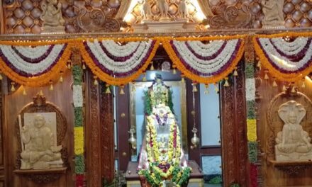 ರಾಘವೇಂದ್ರ ಸ್ವಾಮಿಗಳ ದರ್ಶನಕ್ಕೆ ಭಕ್ತ ಸಾಗರ
