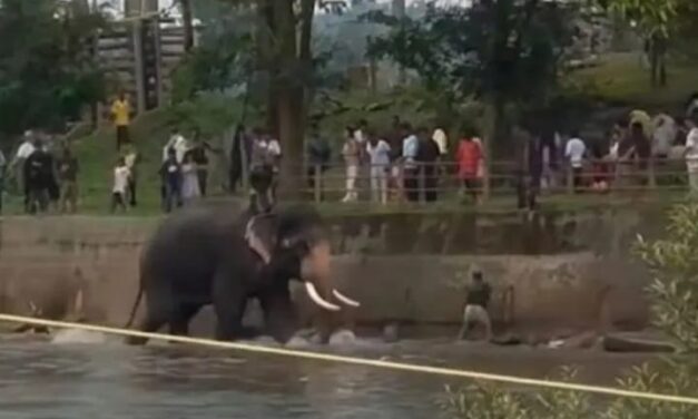 ದುಬಾರೆ ದುರಂತ; ಪ್ರವಾಸಿಗರು ಮತ್ತು ಸಮಾಜಕ್ಕೆ ಎಚ್ಚರಿಕೆಯ ಸಂದೇಶ
