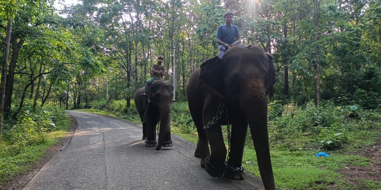 ಪಣಸೋಲಿ ಆನೆ ಶಿಬಿರಕ್ಕೆ ಪ್ರವಾಸಿಗರಿಗೆ ನಿರ್ಬಂಧ..!
