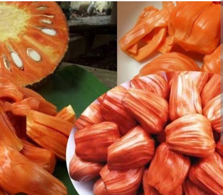 ಹಲಸಿನ ಮೇಳಕ್ಕೆ ಬನ್ನಿ, ವೈವಿದ್ಯ ಮಯ ತಿಂಡಿ ತಿನ್ನಿ