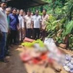 ಗಣೇಶಗುಡಿಯಲ್ಲಿ ಗೋವಿನ ಹತ್ಯೆ,ಮಾಂಸ ಪತ್ತೆ; ಎತ್ತಿನ ರಕ್ಷಣೆ