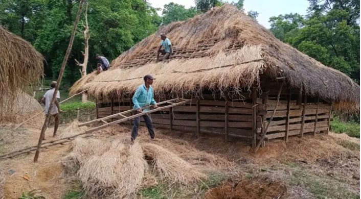 ಕರಂಜೋಯಿಡಾ-ಖಾನಗಾಂವದಲ್ಲಿ ಸಾಂಪ್ರದಾಯಿಕ ಕೊಟ್ಟಿಗೆಗೆ ಹೊಸ ಹುಲ್ಲಿನ ಛಾವಣಿ