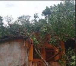 ಯಲ್ಲಾಪುರದ ದೇಹಳ್ಳಿ ಭಾಗದಲ್ಲಿ ಗಾಳಿ ಮಳೆಯ ಅಬ್ಬರ: ಅಪಾರ ಹಾನಿ
