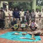 ಕಡವೆ ಬೇಟೆ ಯಾಡಿದವರ ಬಂಧನ