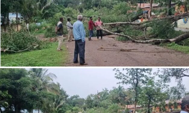 ಜೋಯಿಡಾ ಶ್ರೀರಾಮ ಪ್ರೌಢಶಾಲೆ ಆವರಣದಲ್ಲಿಯ ಅಪಾಯಕಾರಿ ಮರಗಳ ತೆರವು