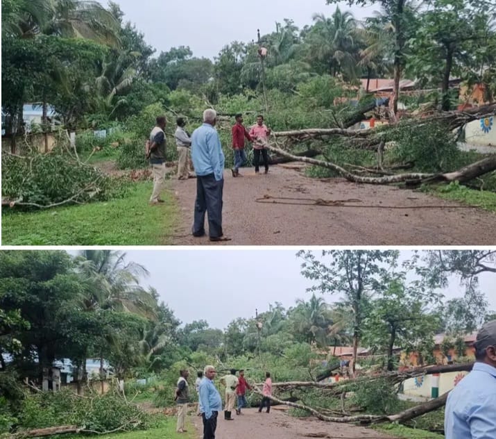ಜೋಯಿಡಾ ಶ್ರೀರಾಮ ಪ್ರೌಢಶಾಲೆ ಆವರಣದಲ್ಲಿಯ ಅಪಾಯಕಾರಿ ಮರಗಳ ತೆರವು