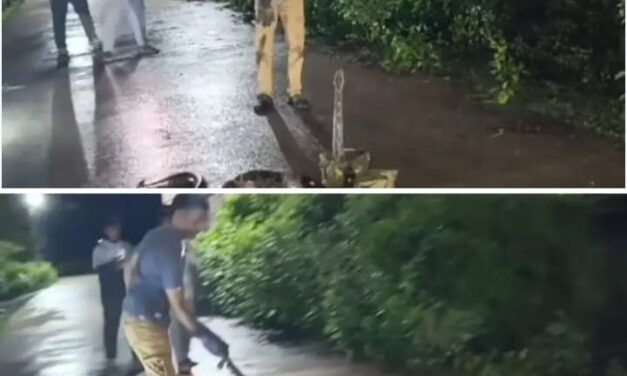 ದಾಂಡೇಲಿಯಲ್ಲಿ ಭಾರಿ ಗಾತ್ರದ ಹೆಬ್ಬಾವು ಸೆರೆ; ಸುರಕ್ಷಿತವಾಗಿ ಕಾಡಿಗೆ ಬಿಡುಗಡೆ