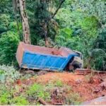 ಅನಮೋಡಘಾಟ್‌ನಲ್ಲಿ ಕಂದಕಕ್ಕೆ ಉರುಳಿದ ಟ್ರಕ್; ಚಾಲಕ ದುರ್ಮರಣ