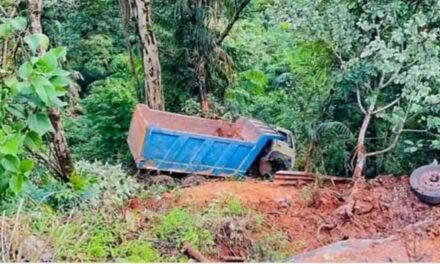 ಅನಮೋಡಘಾಟ್‌ನಲ್ಲಿ ಕಂದಕಕ್ಕೆ ಉರುಳಿದ ಟ್ರಕ್; ಚಾಲಕ ದುರ್ಮರಣ