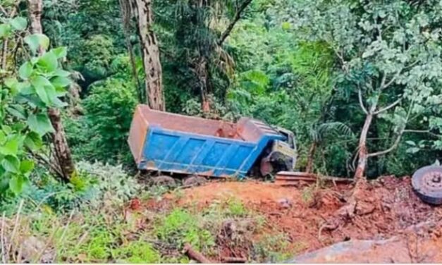 ಅನಮೋಡಘಾಟ್‌ನಲ್ಲಿ ಕಂದಕಕ್ಕೆ ಉರುಳಿದ ಟ್ರಕ್; ಚಾಲಕ ದುರ್ಮರಣ