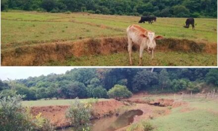 ಮಳೆಗಾಗಿ ಕಾದು ಕುಳಿತ ಖಾನಗಾಂವ ಗ್ರಾಮಸ್ಥರು,ಬತ್ತಿದ ಹಳ್ಳಗಳು; ಆತಂಕದಲ್ಲಿ ರೈತರು